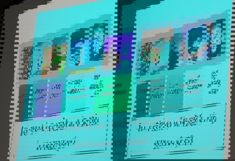 8Ea42c0a 8Ac5 436D 9825 D114fa65cf0d