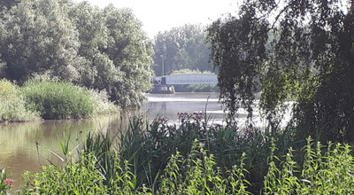 Mirabrug
