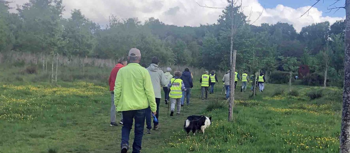 251010 NW 5 Mei Onderweg