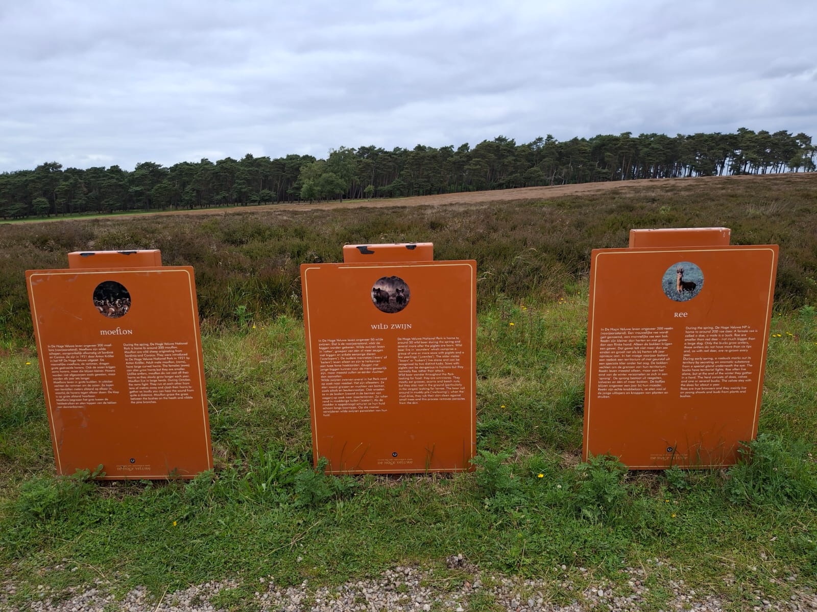 Info De Veluwe