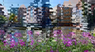 558221044 1244172507512398 6205064820493991070 N