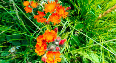 IMG 20250612 WA0002