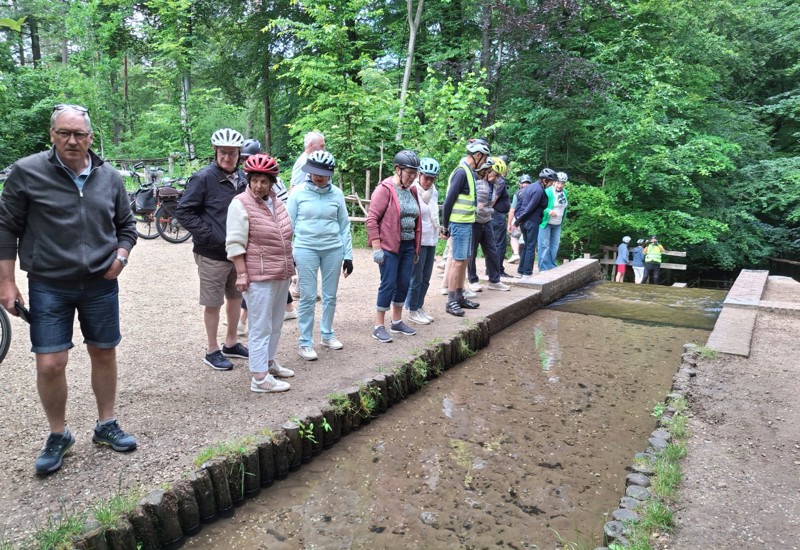 De Loenense waterval