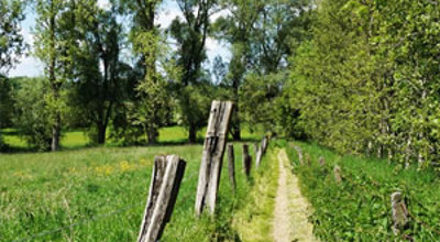 Wandelroute Zottegem