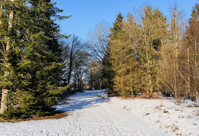 20260115 Sneeuw IMG 3434