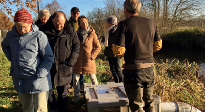 Krabbenval Grobbendonk