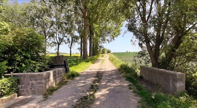 Zomerwandelingzottegem