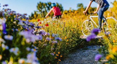 Istockphoto 1455863800 612X612