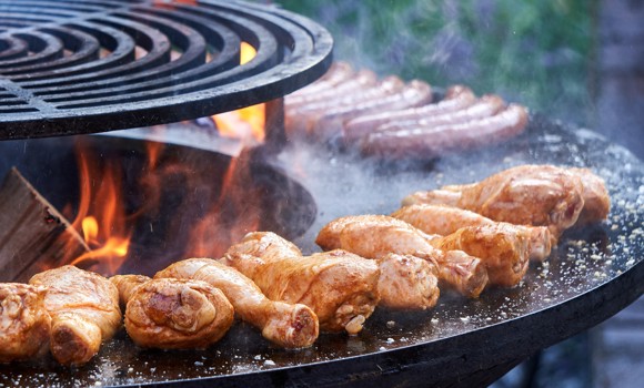 Distelapparath Chicken 4323967