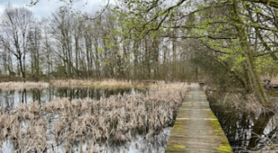 Wandeling Bouwels Ven 240503