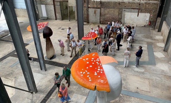 Voorwie Frankrijk paddestoel