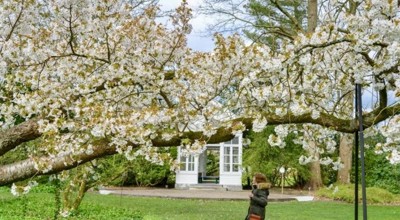 2167E23a Ef0e 4A1d 9541 D0b3f464ffa6 1 105 C