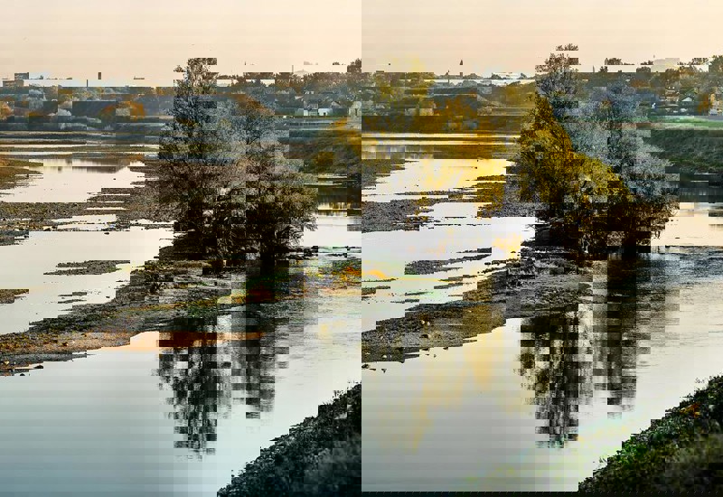 Maas