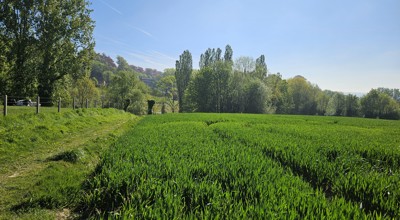 Provinciale wandeldag Ronse