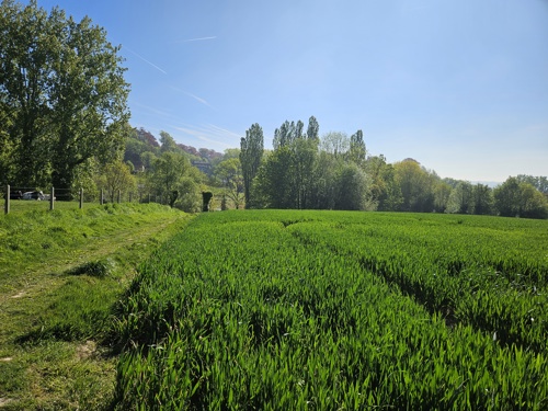 Oost Ronse Wandeldag