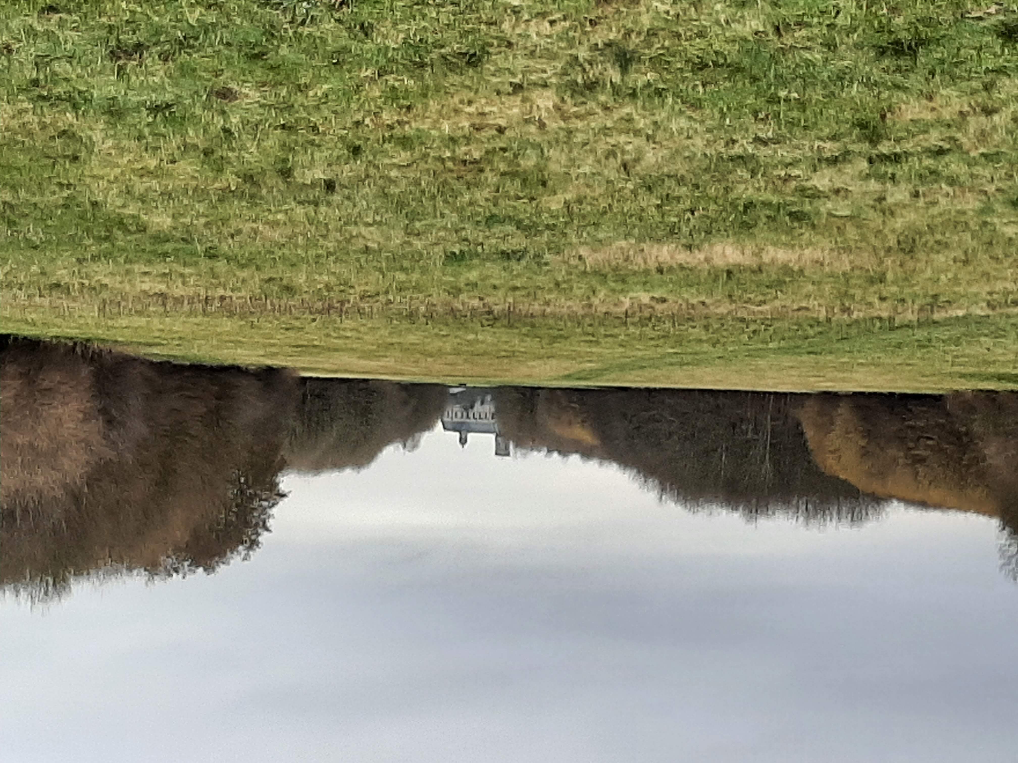 20260219 140014 Lintbos