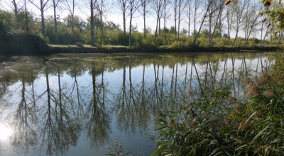 261029 Wandel in Kallo