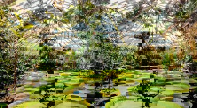 Plantentuin Meise Bezoeken Botanische Tuin In Vlaams Brabant Via AGMJ 4 (1)