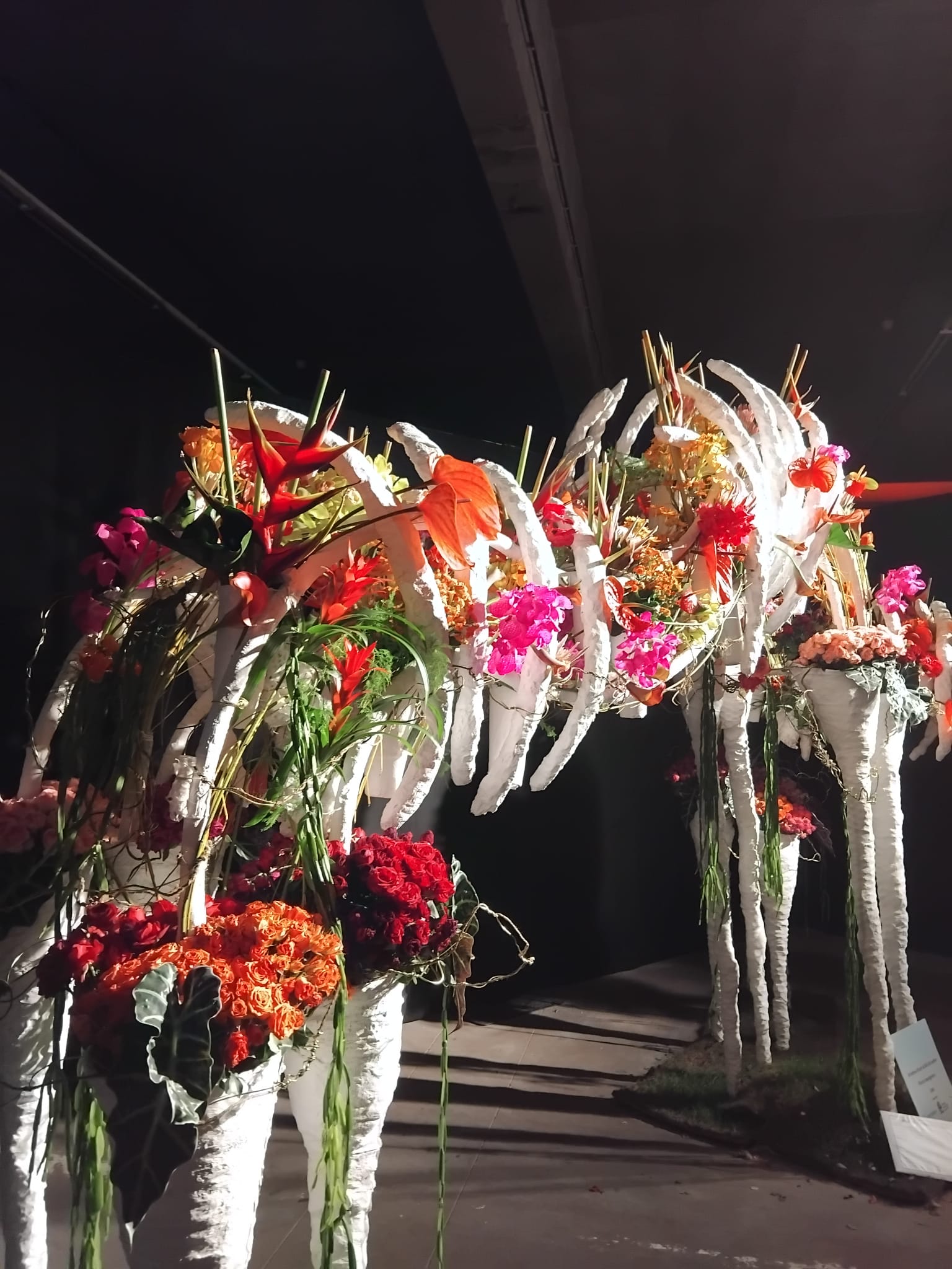 Floraliën (1)